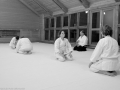 Aikido_Bonn-1
