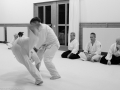 Aikido_Bonn-3