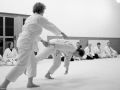 Aikido_Bonn-8