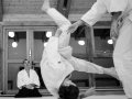 stb_aikido-1.jpg