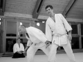 stb_aikido-7.jpg