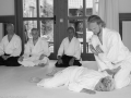 Aikido_07_2016-2