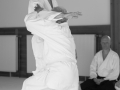 Aikido_07_2016-3