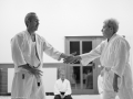 2016_12_stb_aikido11