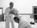 2016_12_stb_aikido12