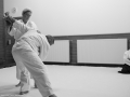 2016_12_stb_aikido5