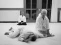 2016_12_stb_aikido7