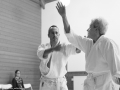 2016_12_stb_aikido9
