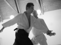 SB_aikido-4