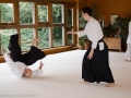 Aikido_fB-3.jpg